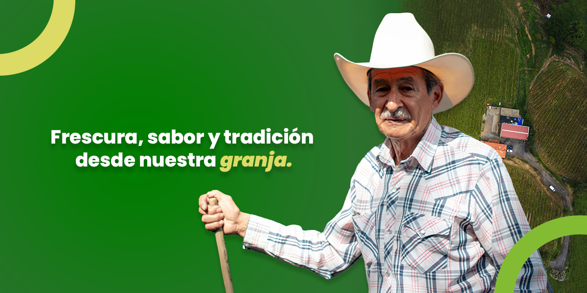 Inicio BANNER SENOR