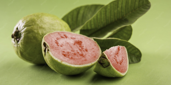 Productos guayaba 2