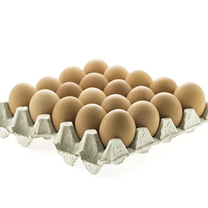huevos