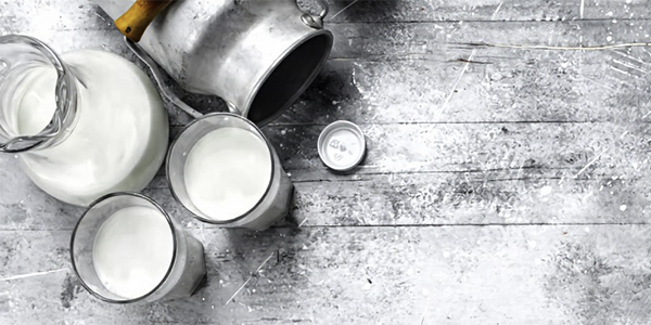 Productos leche