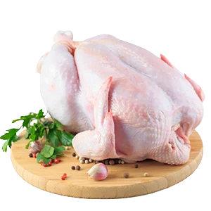 pollo