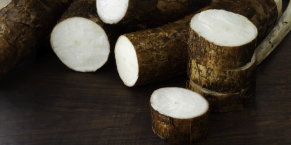 Productos yuca